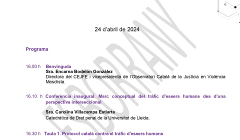 Programa Actualitzacions protocol TEH_page-0001