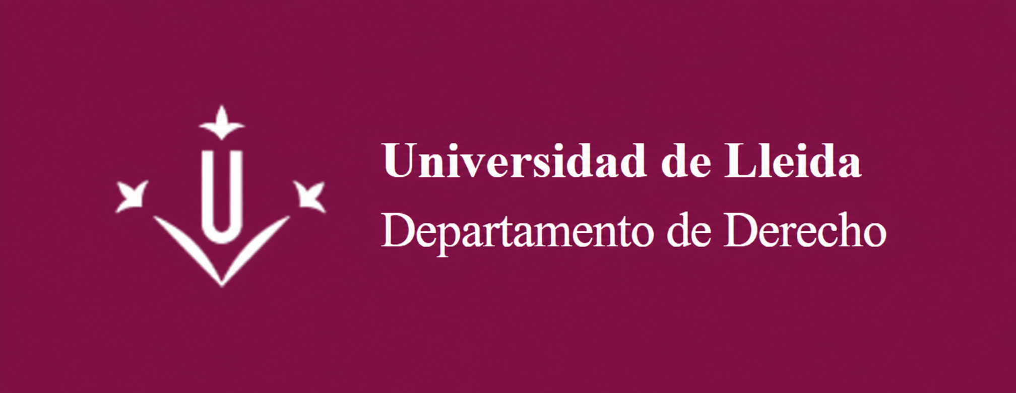 Banner institucional de la Universidad de Lleida